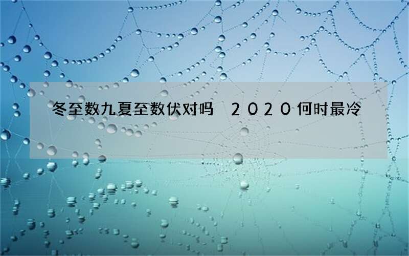 冬至数九夏至数伏对吗 2020何时最冷